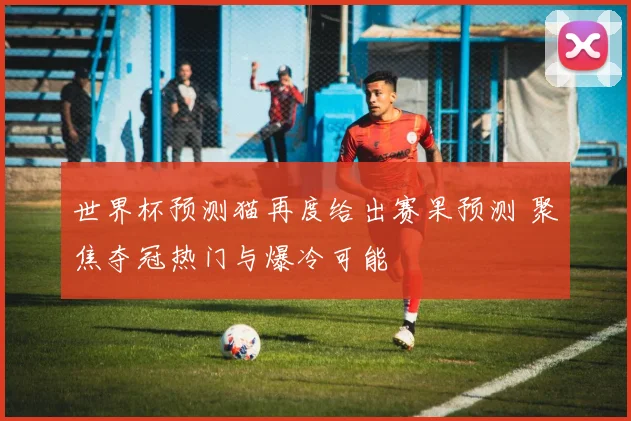世界杯预测猫再度给出赛果预测 聚焦夺冠热门与爆冷可能