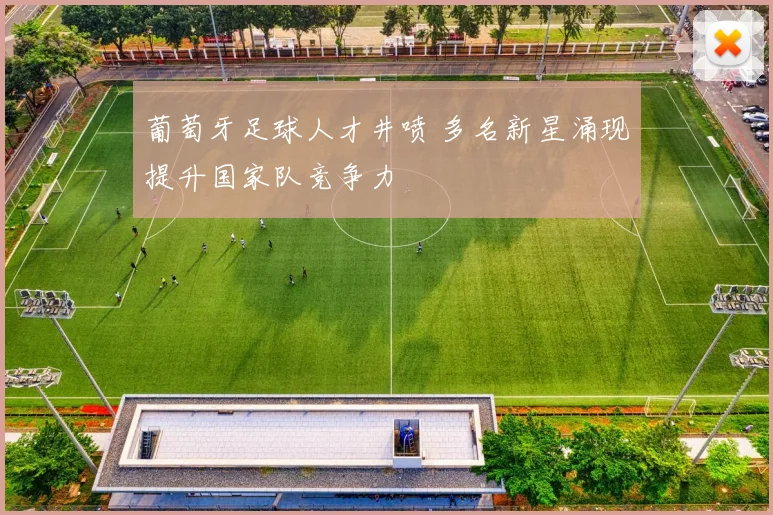 葡萄牙足球人才井喷 多名新星涌现提升国家队竞争力