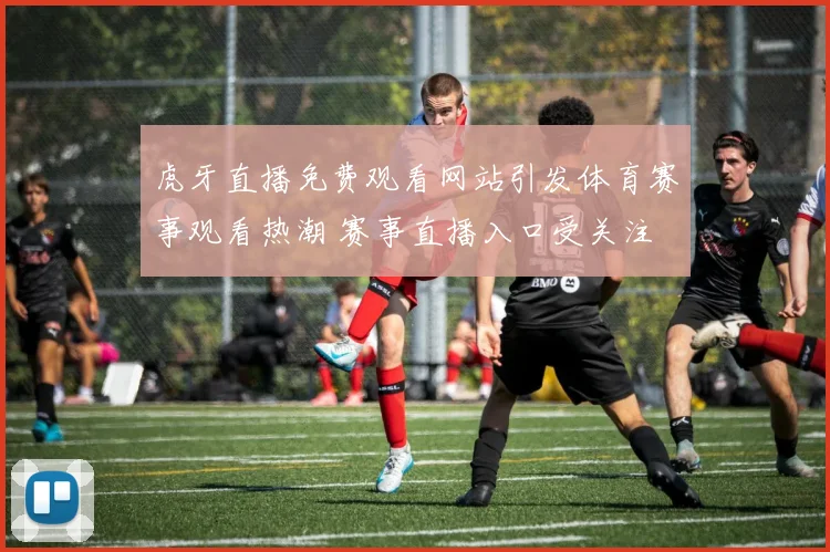 虎牙直播免费观看网站引发体育赛事观看热潮 赛事直播入口受关注