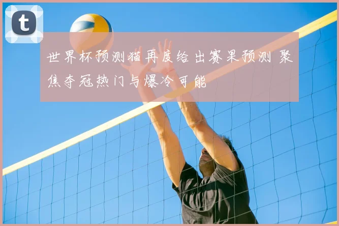 世界杯预测猫再度给出赛果预测 聚焦夺冠热门与爆冷可能