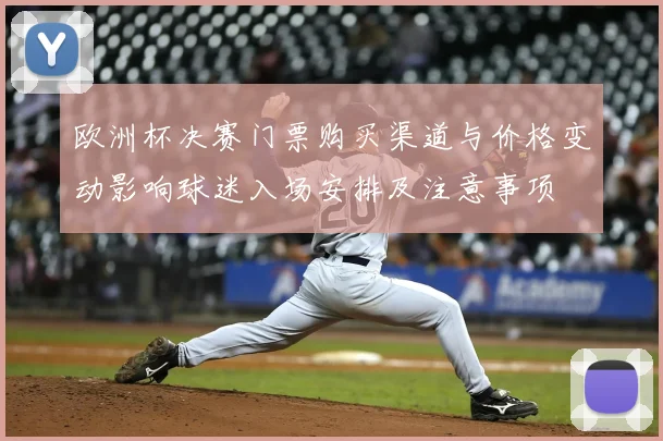 欧洲杯决赛门票购买渠道与价格变动影响球迷入场安排及注意事项