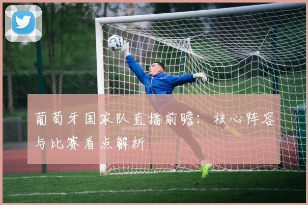 葡萄牙国家队直播前瞻:核心阵容与比赛看点解析