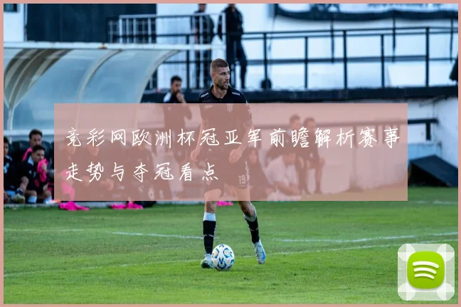 竞彩网欧洲杯冠亚军前瞻解析赛事走势与夺冠看点
